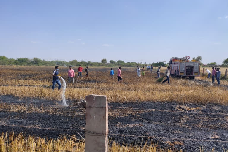 Fire in wheat crop, गेंहू की फसल में लगी आग