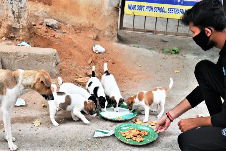 a young man who fed the puppies