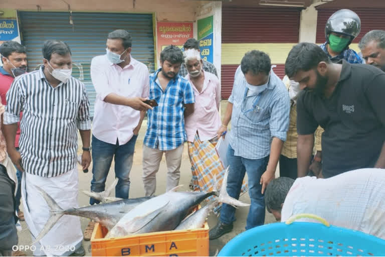 latest pathanamthitta  latest lock down  പത്തനംതിട്ടയില്‍ 1375 കിലോ പഴകിയ മത്സ്യം പിടികൂടി