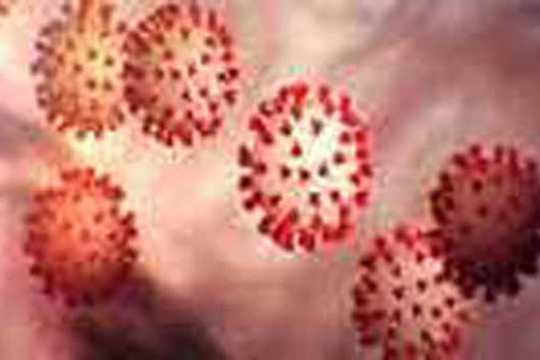 New Updates Of Corona Virus in Brazil