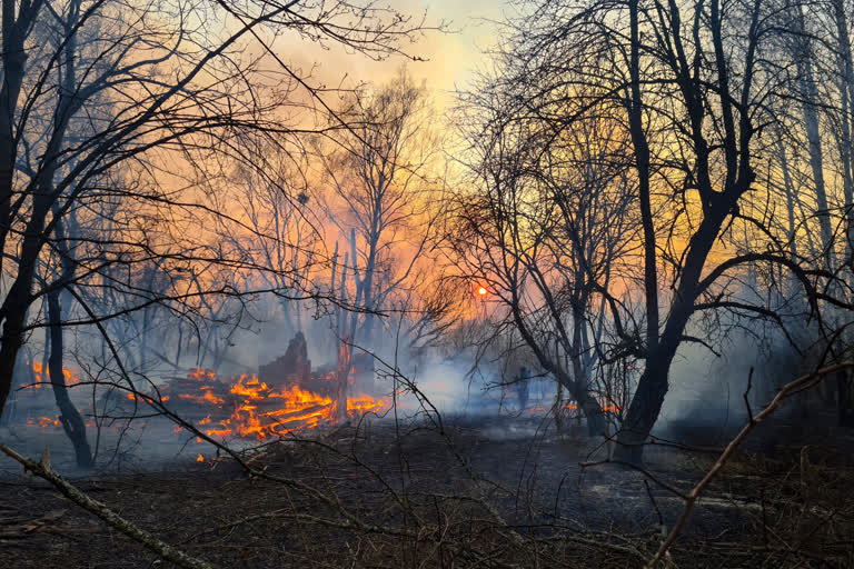 A view of a forest fire burning near the village of Volodymyrivka in the exclusion zone around the Chernobyl nuclear power plant