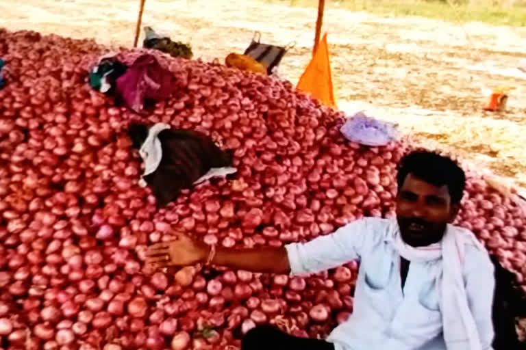 onion-farmers