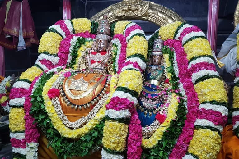 tiruvannamalai panguni festival marriage