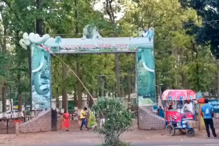 All employees of Birsa Munda Zoo will undergo screening test again in ranchi