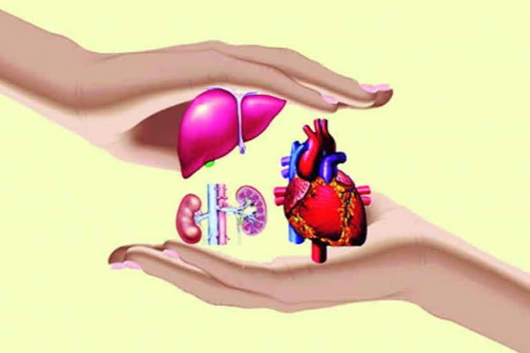 corona effect on organ donation in Mumbai