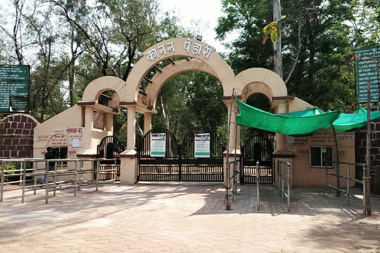 kanan-pendari-zoo-was-sanitized-after-chitals-death-in-bilaspur