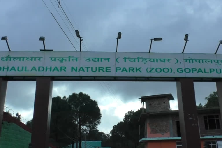 gopalpur zoo