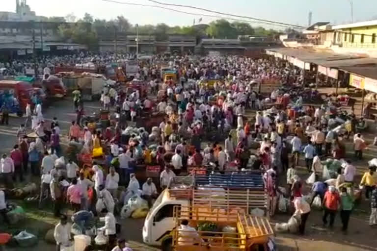 jalgaon market