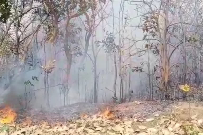 The second day of fire in the forest of Seraikela