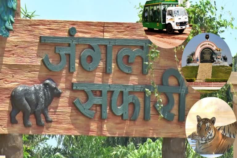 animal-protection-in-jungle-safari-raipur