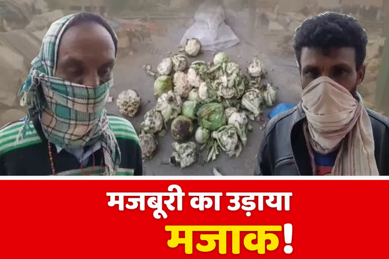 Gave alley-dried vegetables to migrants in mandi, समाजसेवा की आड़ में प्रवासियों को दे डालीं गली-सड़ी सब्जियां