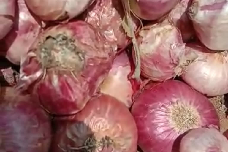 onion farmers facing market problem in vijayapura