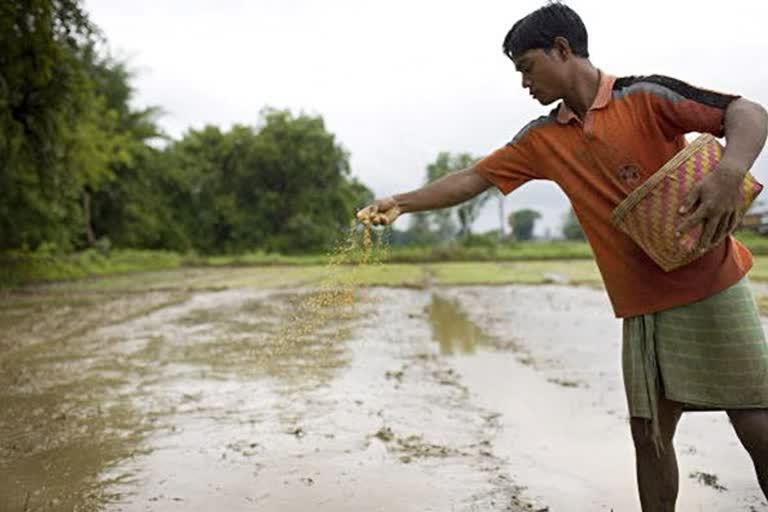 COVID-19: A requiem for S&M seed companies  காரீஃப் பருவம், குளிர் கால விதைப்பு, தேசிய விதை சங்கம், இந்திரா சேகர் சிங், விவசாய நிறுவனம், விதை நிறுவனங்களின் கோரிக்கை  seed companies  Indra Shekhar Singh