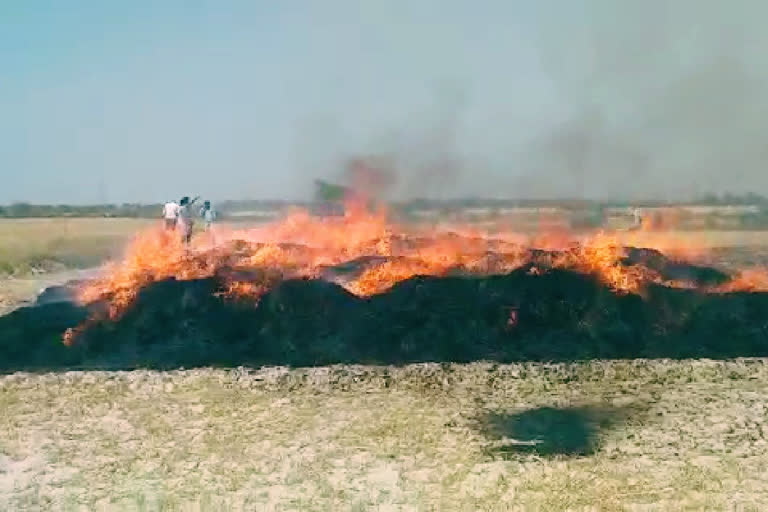 wheat crop caught fire
