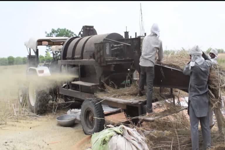 sirsa farmers worried about grain storage