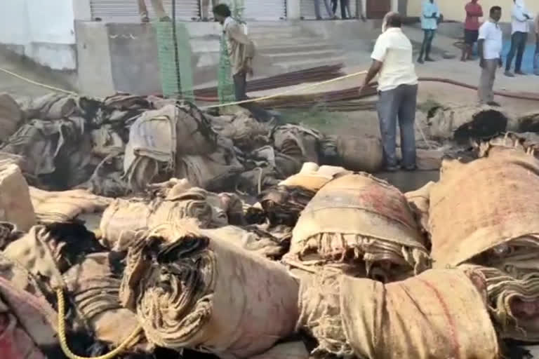 shortsurquite in lorry which is carried ganni bags to the grain purchasing centers at rajanna siricilla