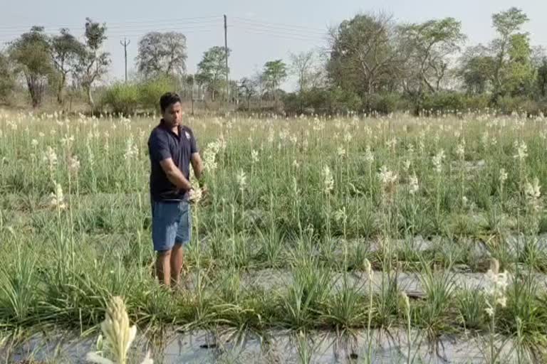 farmers are facing problem in lockdown in balod