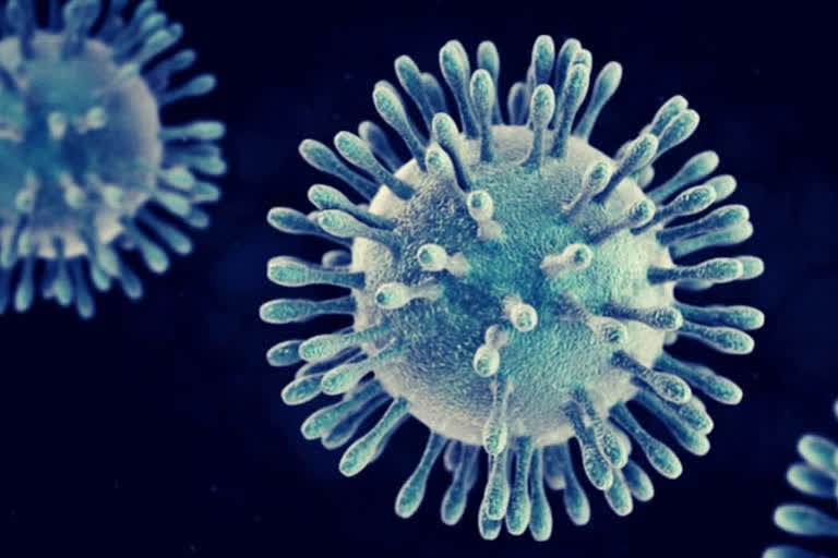 coronavirus update