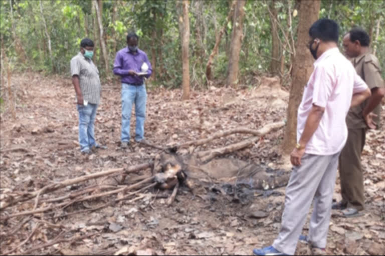 od_khurda_baby elephant