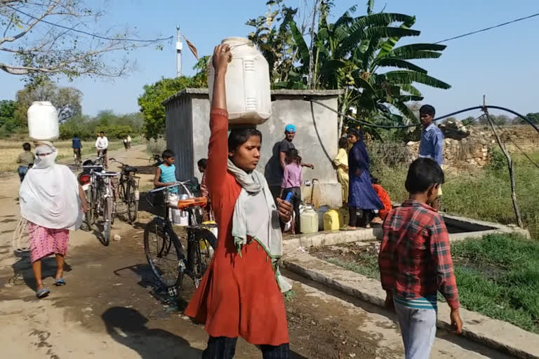 चित्रकूट ताजा समाचार