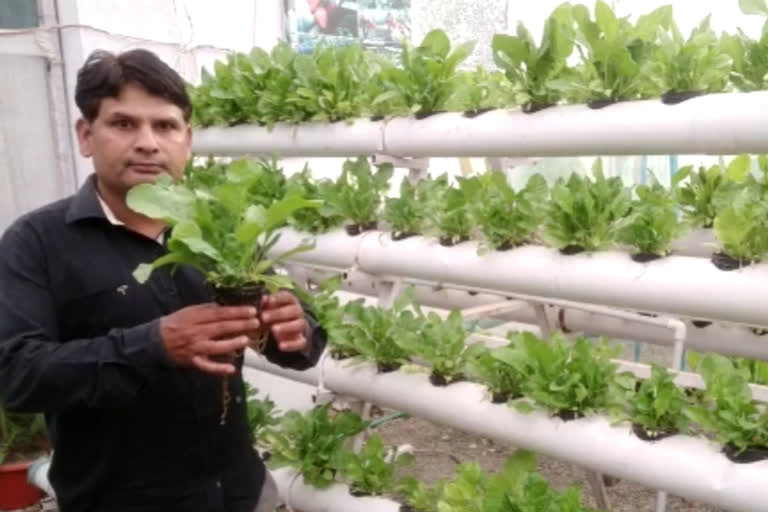 farmers of Ratlam are LEARNING how to do gardening using hydroponic techniques