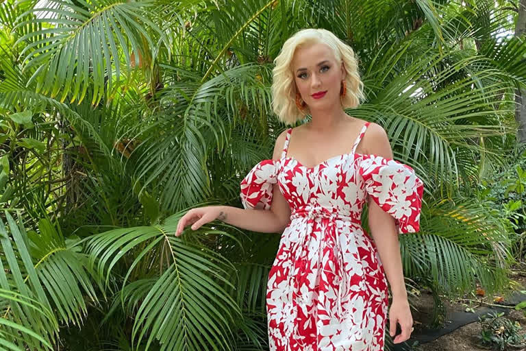 Katy Perry decides to name daughter after late grandmother Ann Pearl Hudson