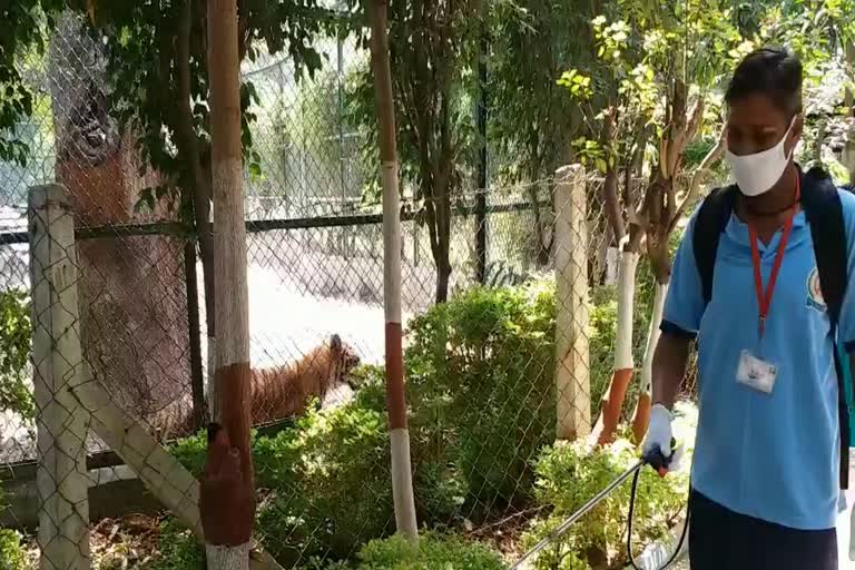 zoos are also being sanitized in indore