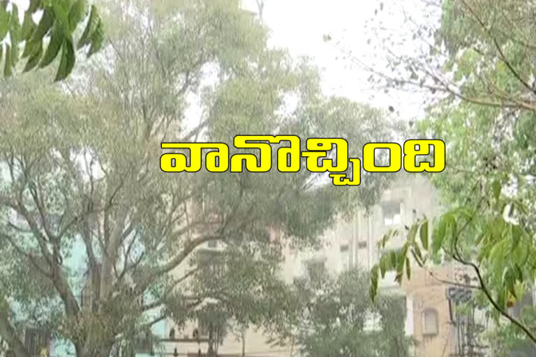 rain in telangana