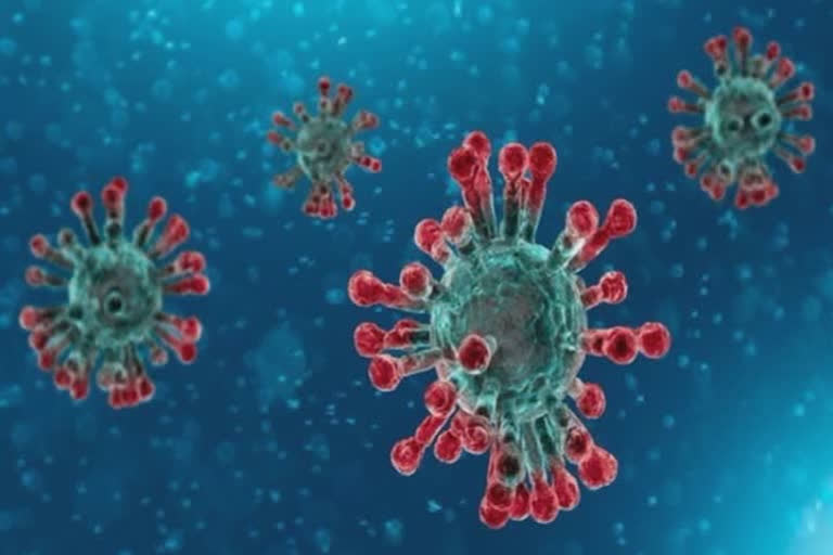 Travel history of person tested coronavirus positive in dharwad