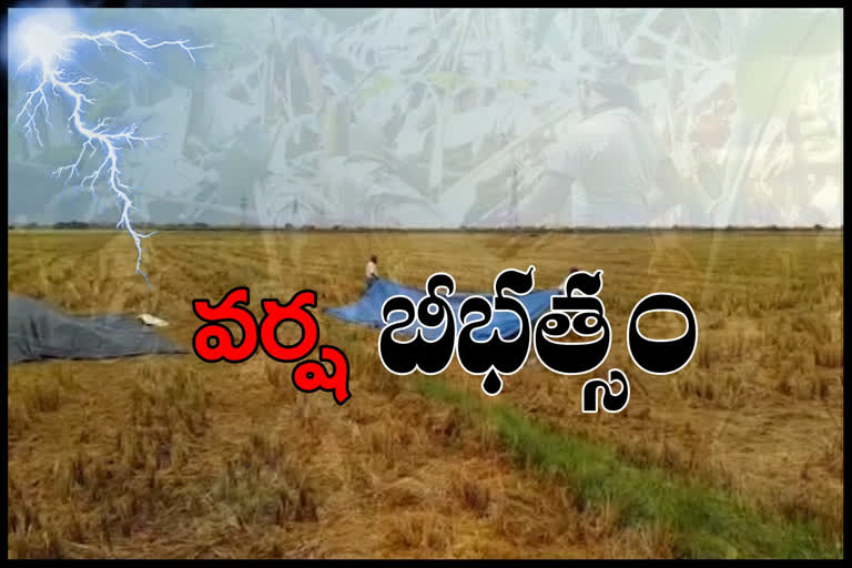 14 members died with sudden rains in andhrapraesh