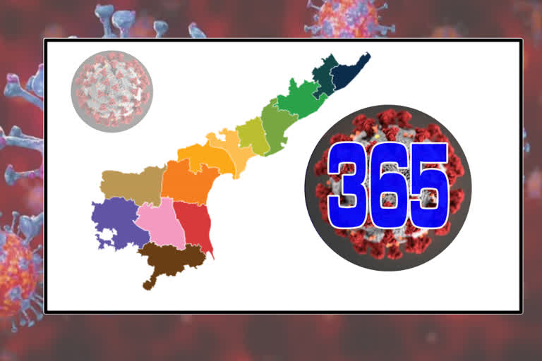 two more corona possitive cases in ap