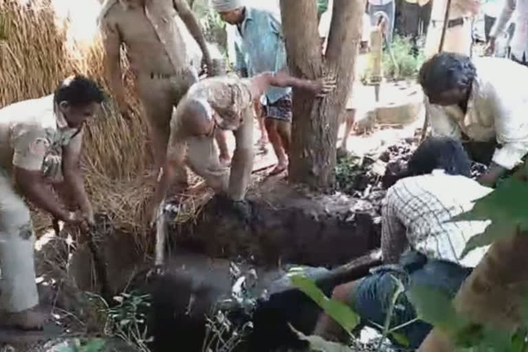 buffalo saved by police and fire station troop