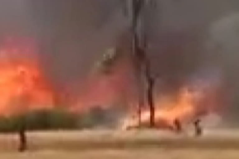 wheat field burnt completely