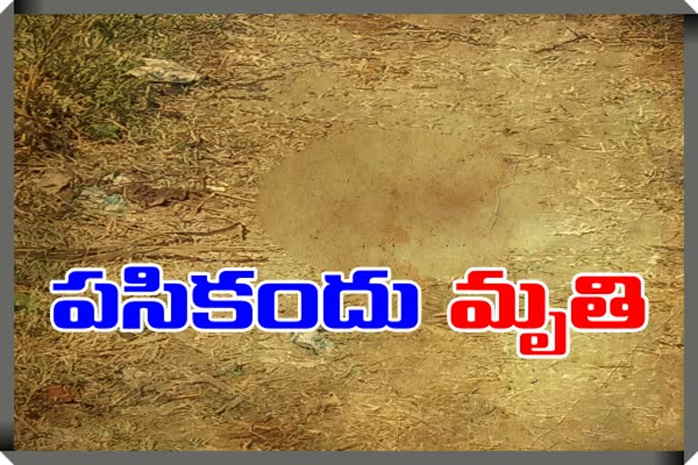 unidentified infant dead body found near bushes at narsapuram