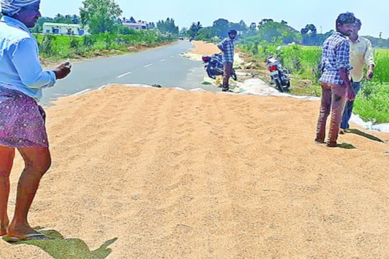 వరిధాన్యం ఎండపెడుతున్న రైతులు