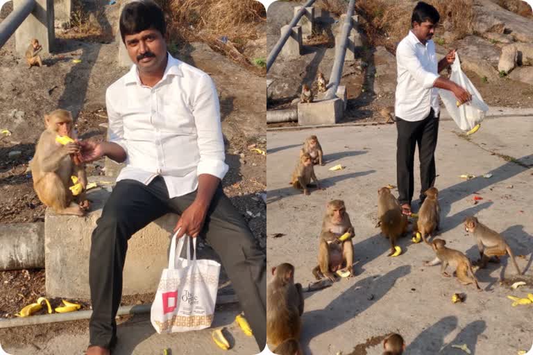 fruits provided for monkeys at kondagattu  anjaneyaswamy temple karimnagr district