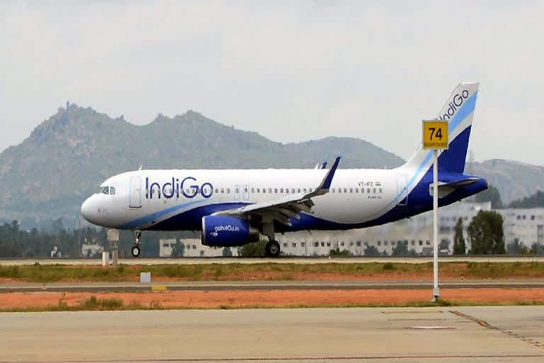 IndiGo