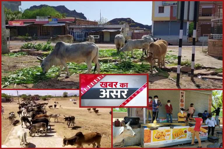 पशुओं के लिए आगे आए ग्रामीण, Villagers come forward for animals