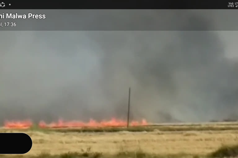 process of burning of crops is not stopping