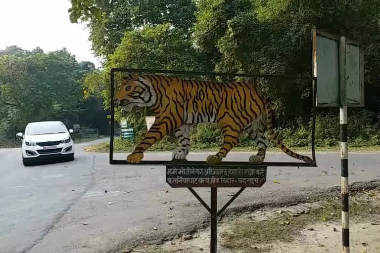 katarniaghat protected wildlife division