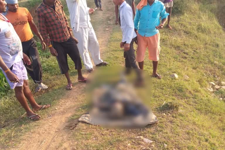 dead body found in the ash dam of singrauli