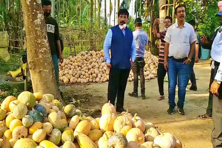 agriculture minister atul borah visited galoghat