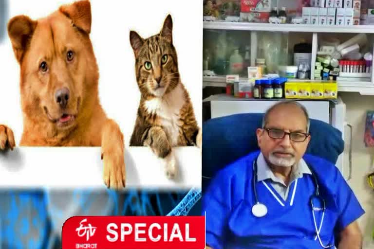 know-about-the-corona-virus-infection-in-pets-from-dr-satyendra-puri