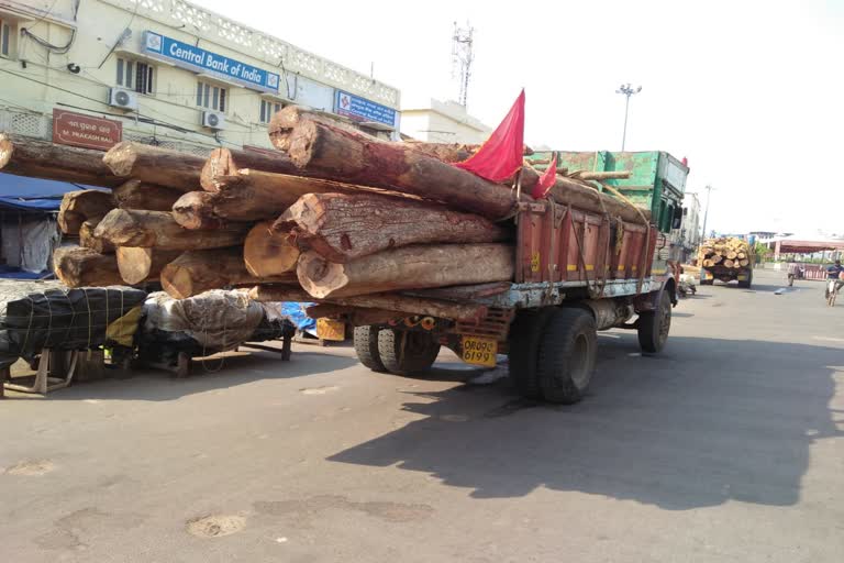 The chariot wood reached Shrikshetra