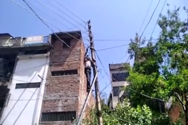 Councillor repairing street lights in bilaspur