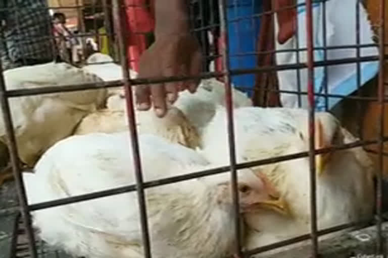 കോഴിയിറച്ചി വില  chicken price hike  kerala chicken price  കോഴിക്കടകൾ  ലോക് ഡൗൺ  കോഴി വില  കോഴി ഉല്‍പാദനം