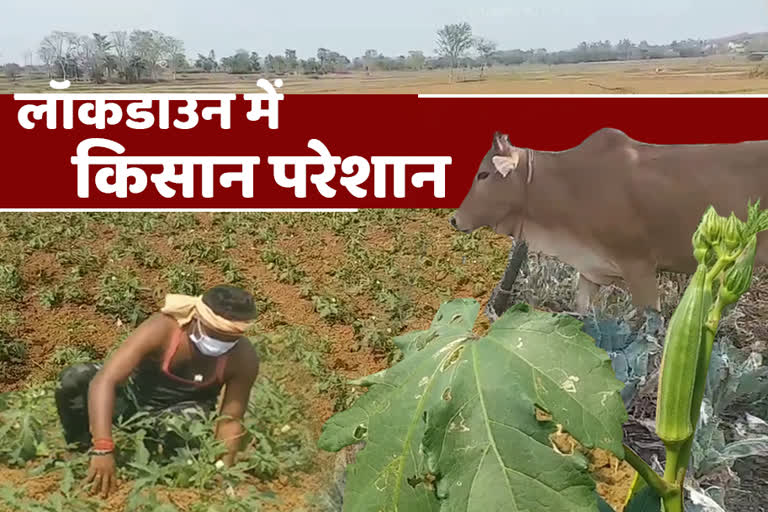 Farmers upset due to not selling vegetables in jamshedpur