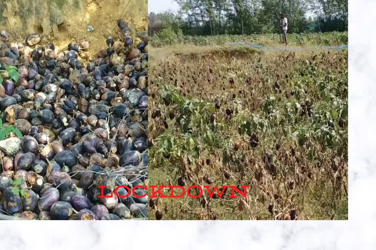 millions of rupees wasted of farmers of surajpur