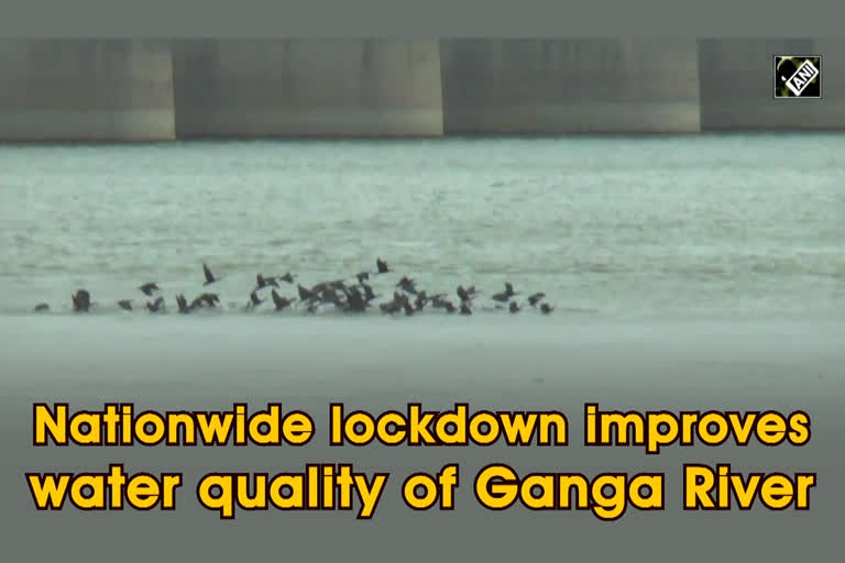 Lockdown impacts on rivers