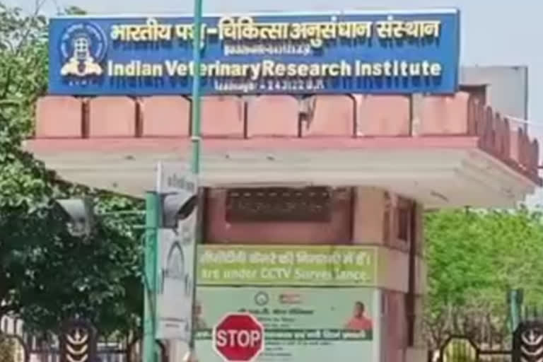 Indian Veterinarian Research